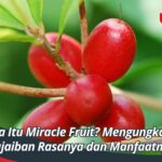 Apa Itu Miracle Fruit? Mengungkap Keajaiban Rasanya dan Manfaatnya