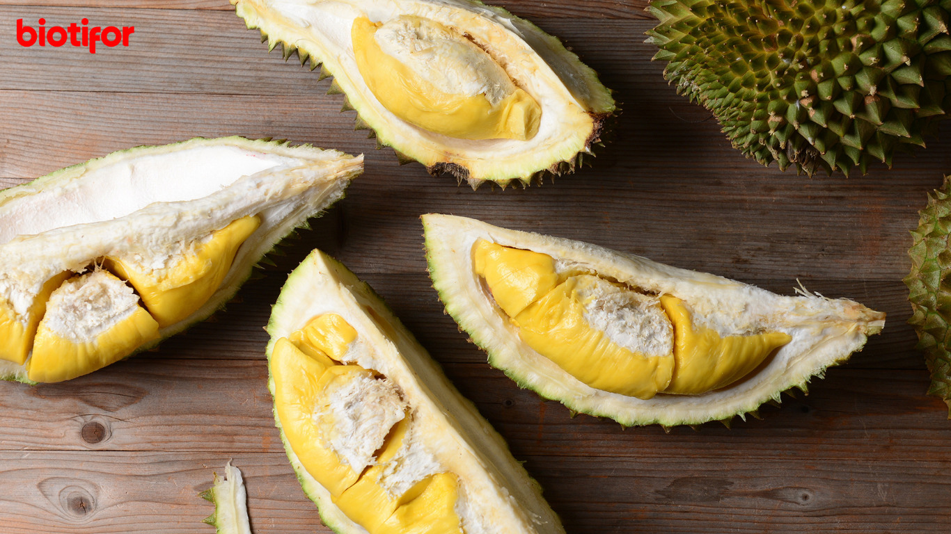 Arti Mimpi Makan Durian: Petunjuk dari Alam Bawah Sadar