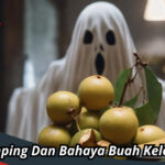 Bahaya Buah Kelengkeng 