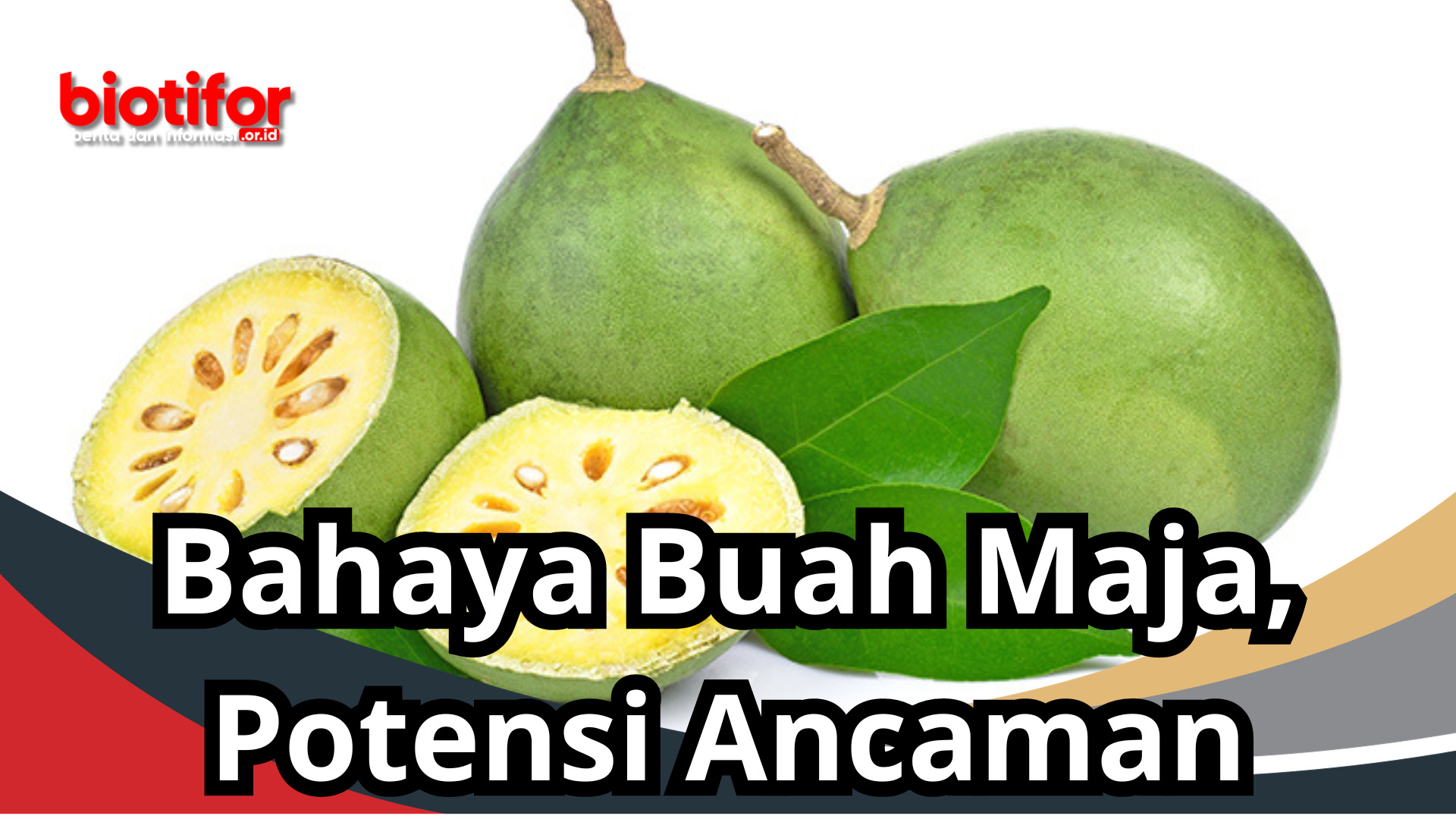 Bahaya Buah Maja, Potensi Ancaman