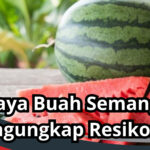 Bahaya Buah Semangka