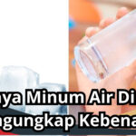 Bahaya Minum Air Dingin