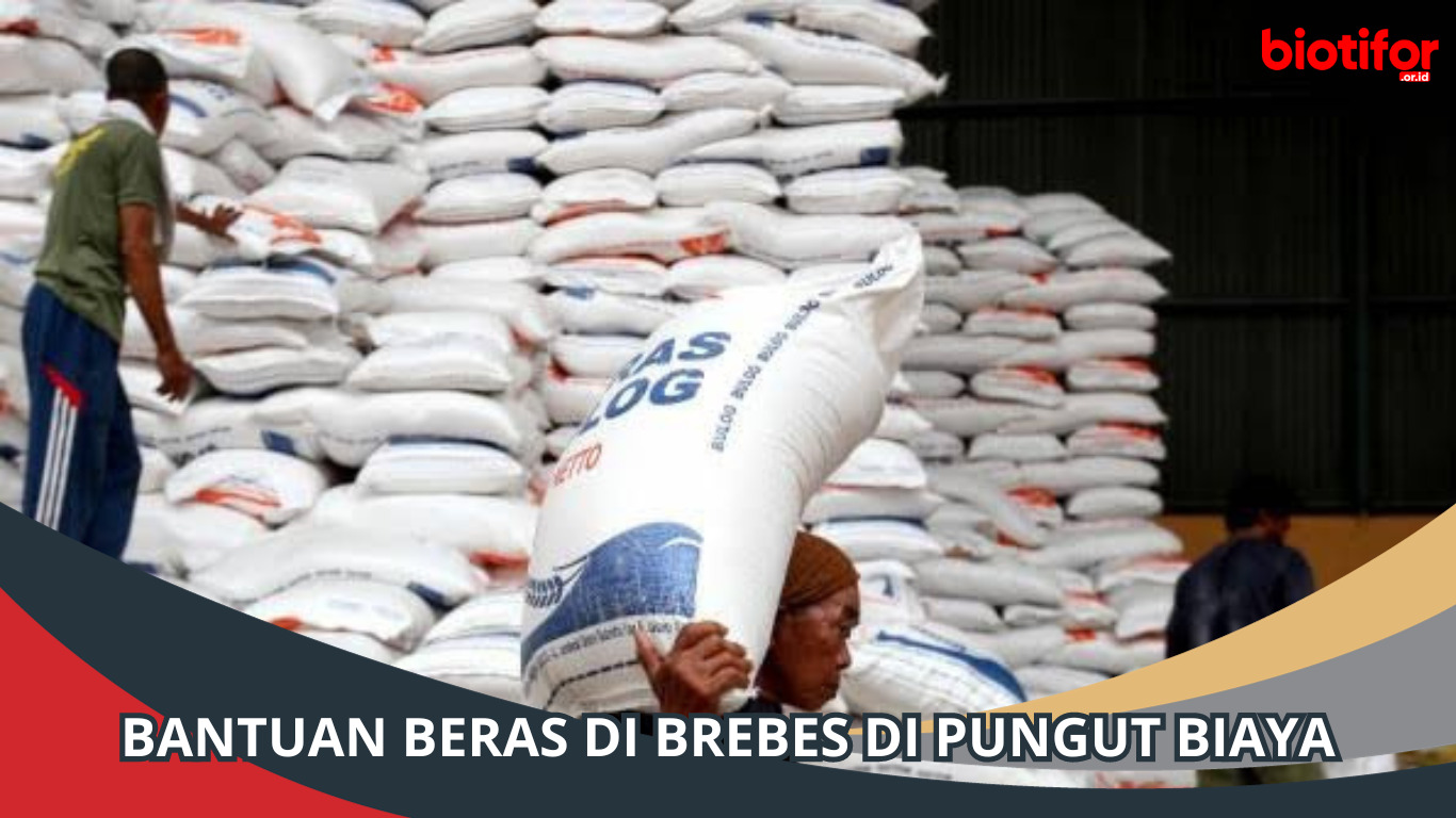 Bantuan beras di brebes di pungut biaya