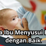 Cara Ibu Menyusui Bayi