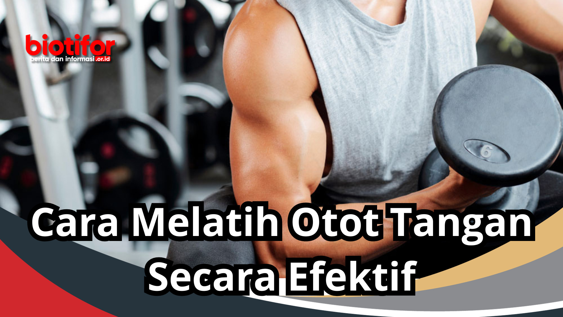 Cara Melatih Otot Tangan Secara Efektif