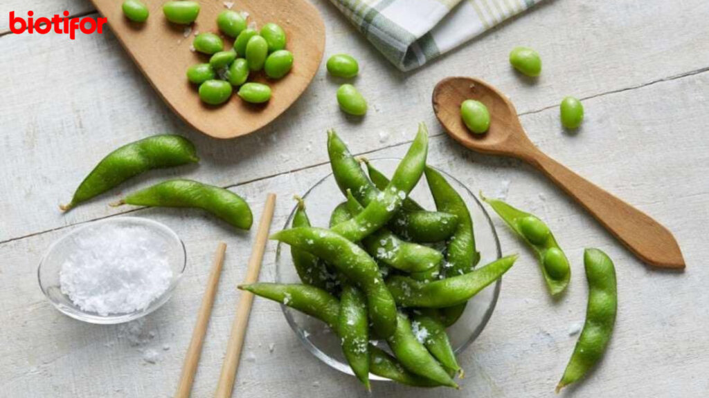 Pengenalan Edamame