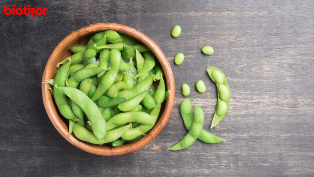 Cara Memasak Edamame yang Tepat