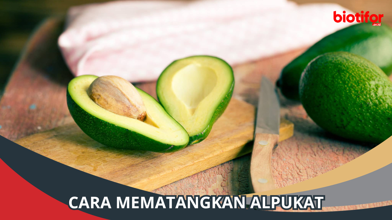 Cara Mematangkan Alpukat dengan Mudah dan Cepat