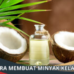 Cara Membuat Minyak Kelapa