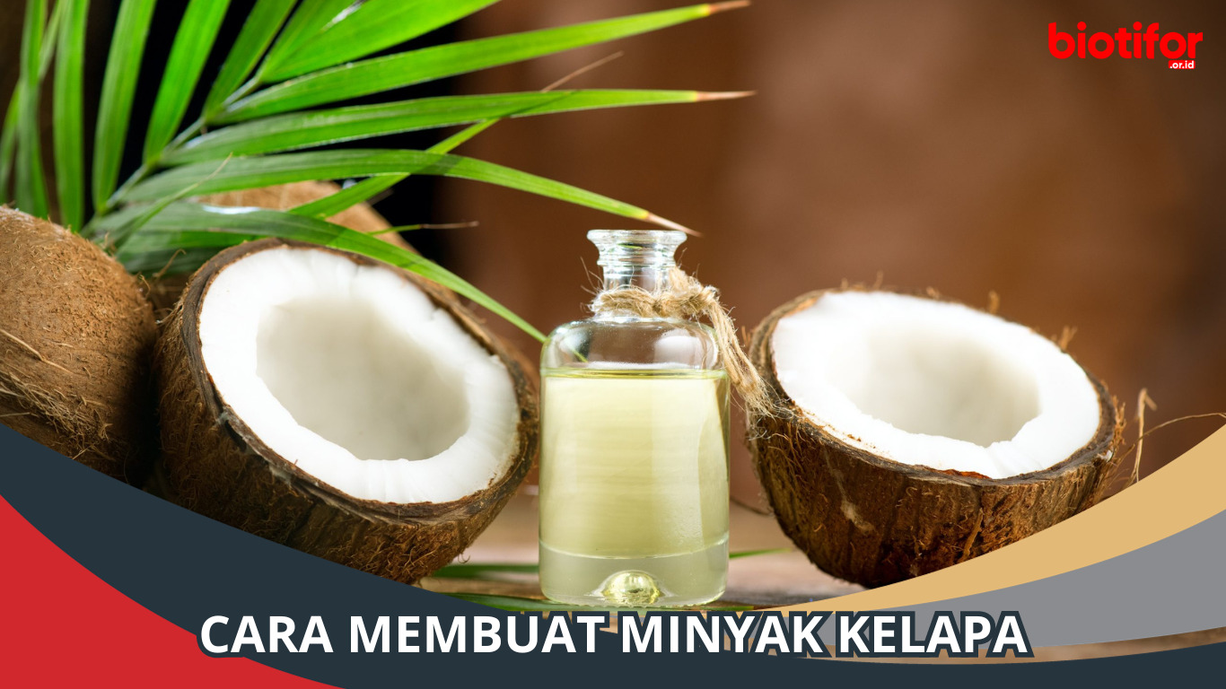 Cara Membuat Minyak Kelapa, Panduan Lengkap