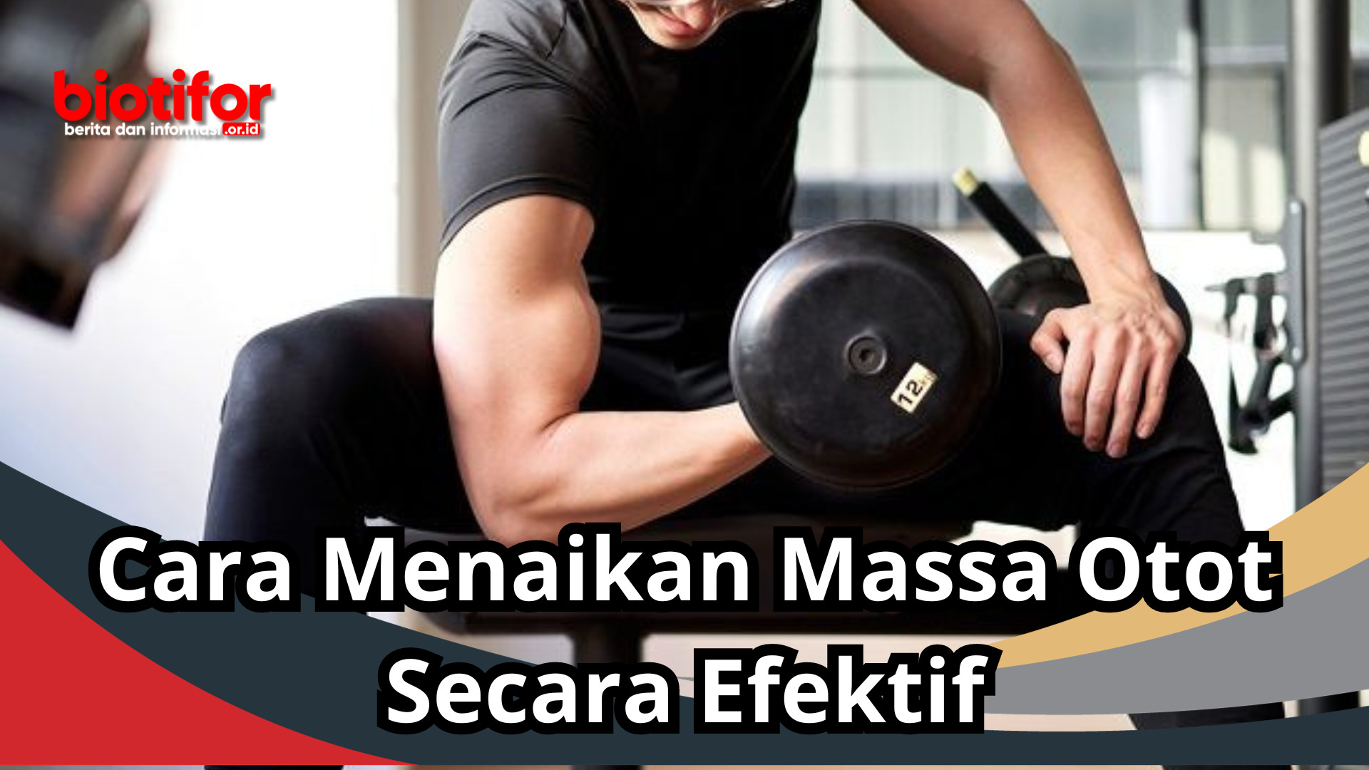 Cara Menaikan Massa Otot Secara Efektif
