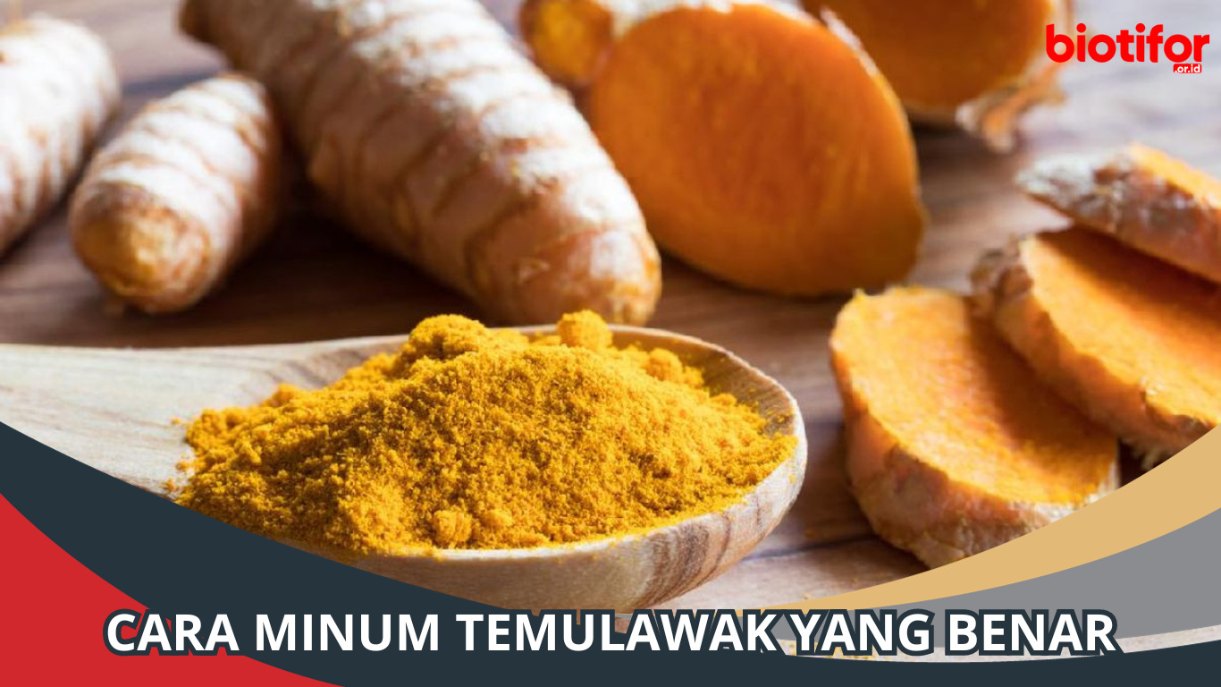 Cara Minum Temulawak yang Benar
