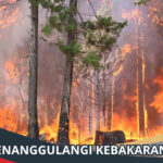 Cara Menanggulangi Kebakaran Hutan
