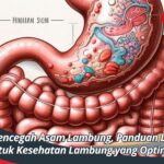 Cara Mencegah Asam Lambung, Panduan Lengkap untuk Kesehatan Lambung yang Optimal