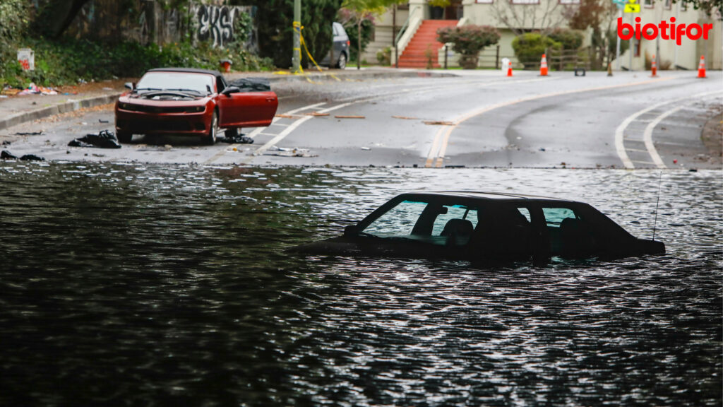 Tahapan Cara Mencegah Banjir Sebelum Musim Hujan