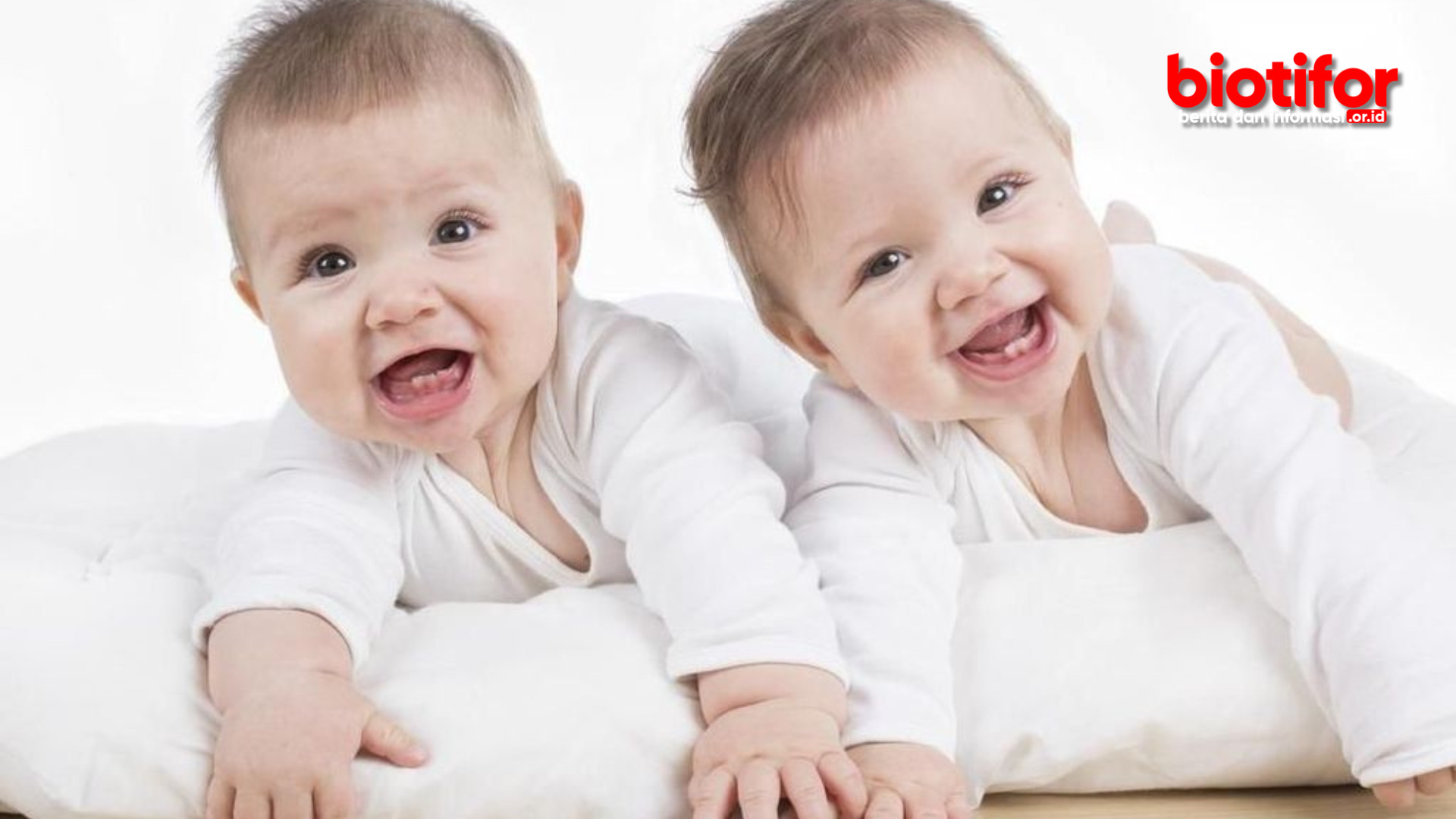 Cara Mendapatkan Bayi Kembar