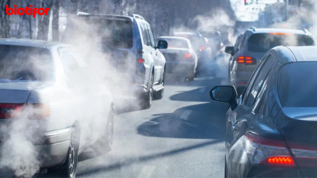 Cara Mengatasi Pencemaran Udara