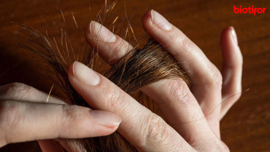 Cara Mengatasi Rambut Bercabang: Tips dan Trik