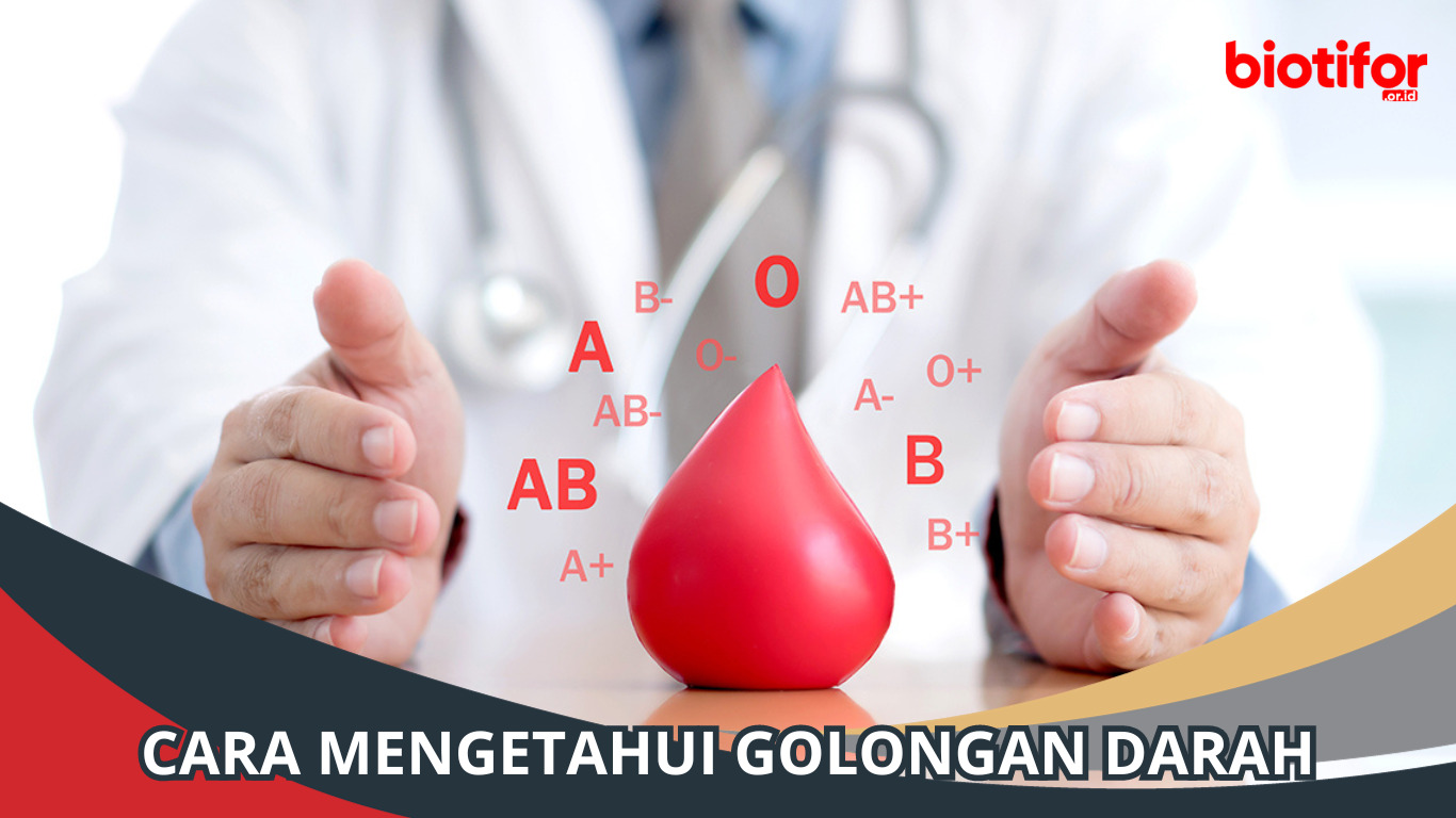 Cara Mengetahui Golongan Darah
