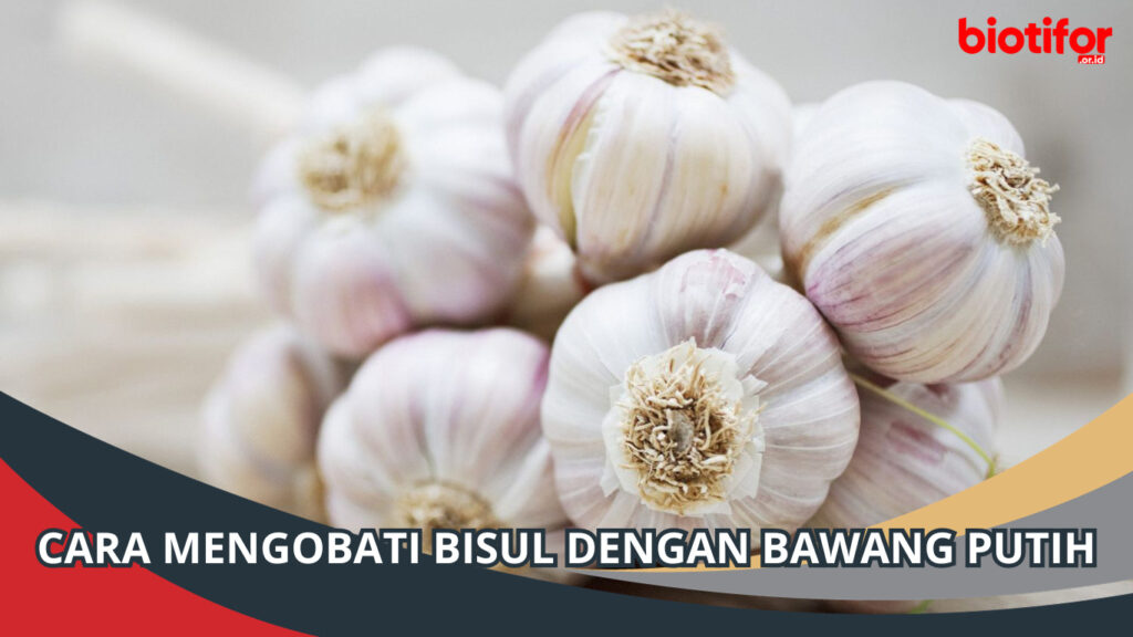 Cara Mengobati Bisul dengan Bawang Putih Biotifor