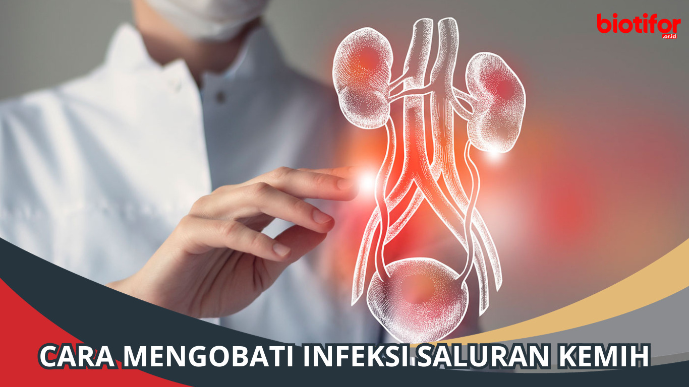 Cara Mengobati Infeksi Saluran Kemih: Panduan Lengkap