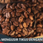 Cara Mengusir Tikus dengan Kopi