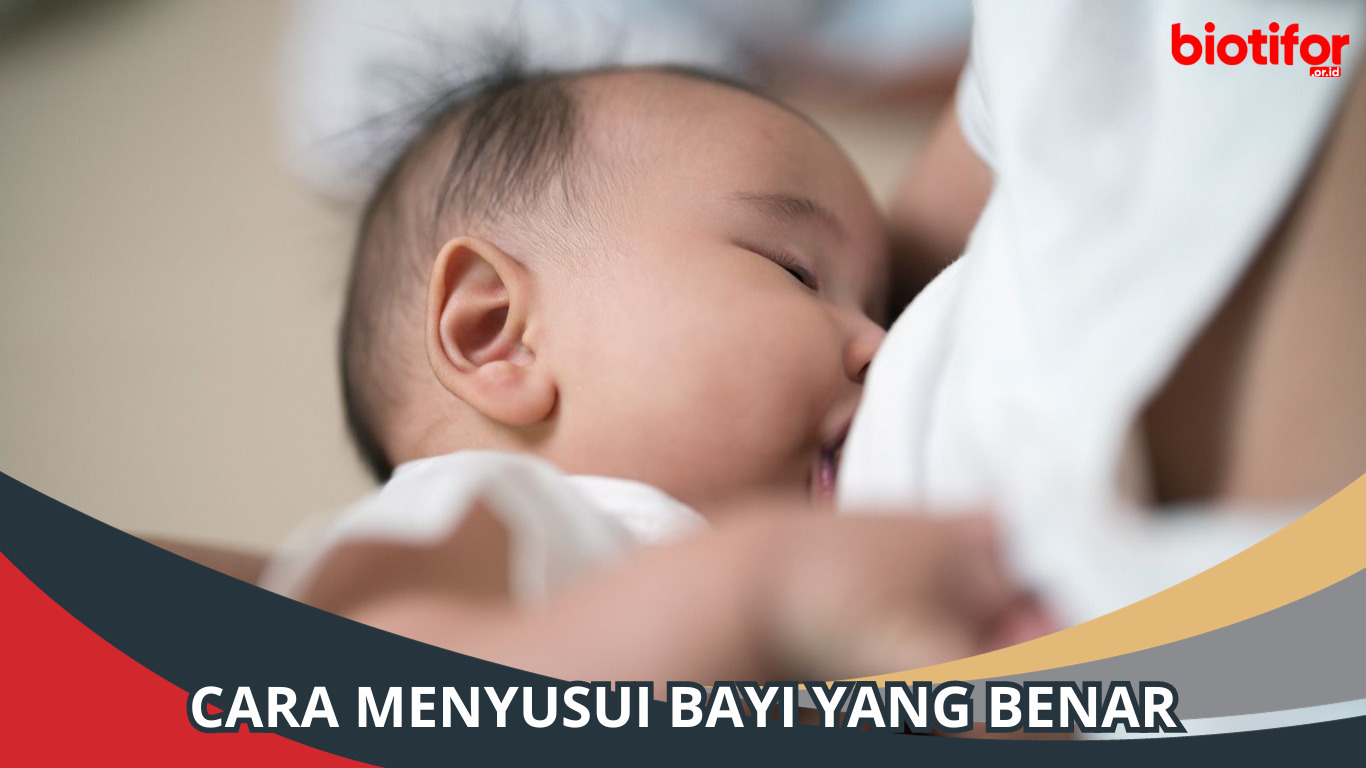 Cara Menyusui Bayi yang Benar: Panduan Lengkap
