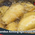 Cara Merebus Kentang Agar Cepat Matang