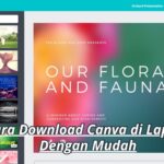 Cara Download Canva di Laptop