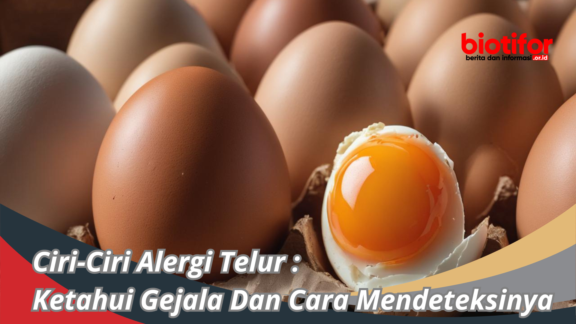 Ciri-Ciri Alergi Telur : Ketahui Gejala Dan Cara Mendeteksinya