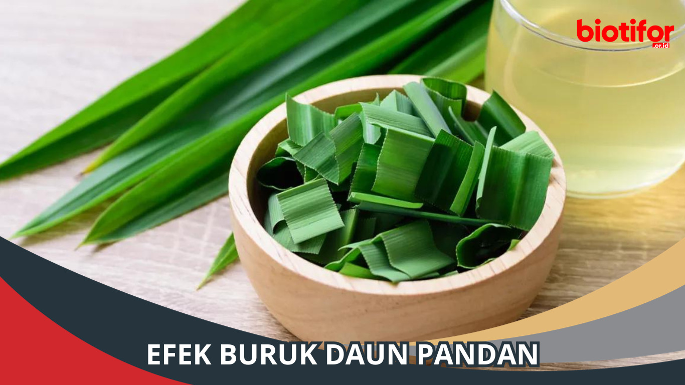 Menggali Lebih Dalam Efek Buruk Daun Pandan
