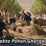 Pohon Gharqad