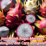 Jenis Buah Naga Manfaat, Kandungan, dan Cara Mengolahnya