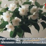 Jenis Bunga Melati: Keindahan dan Ragamnya yang Menawan Hati dalam Taman Anda