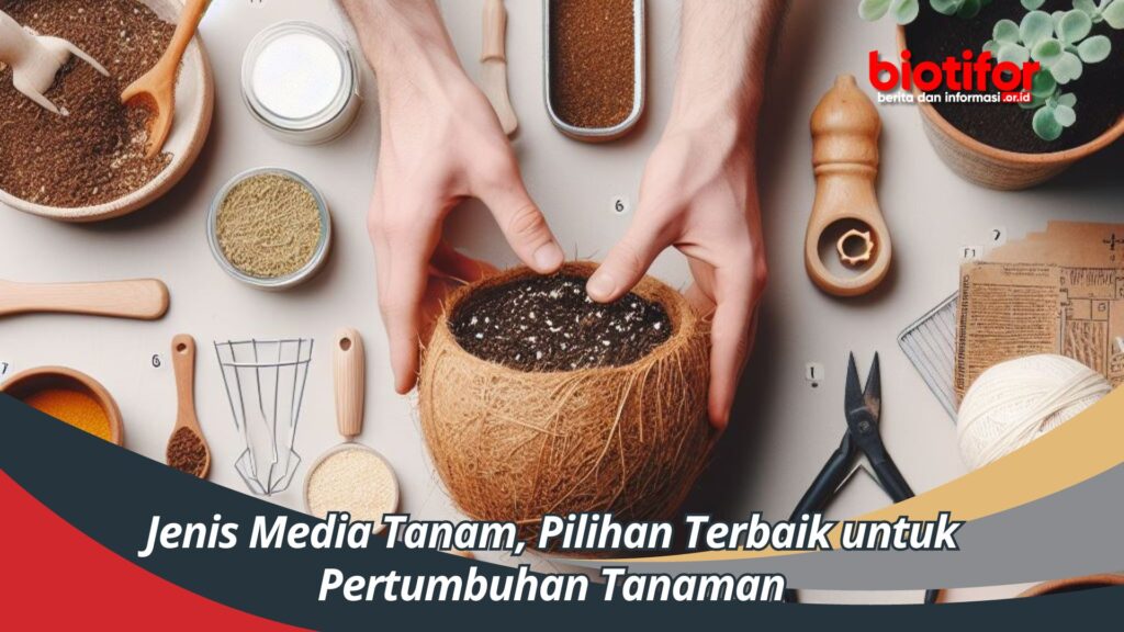 Media Tanam Terbaik untuk Pertumbuhan Tanaman yang Optimal: Panduan Lengkap