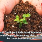 Jenis Tanah yang Baik untuk Tanaman, Pemilihan Jenis Tanah yang Ideal untuk Pertumbuhan Tanaman