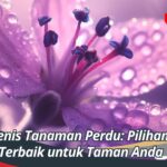 Jenis Tanaman Perdu: Pilihan Terbaik untuk Taman Anda