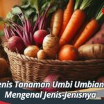 Jenis Tanaman Umbi Umbian: Mengenal Jenis-Jenisnya