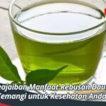 Keajaiban Manfaat Rebusan Daun Kemangi untuk Kesehatan Anda