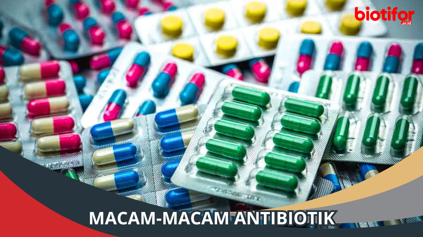 Macam-Macam Antibiotik