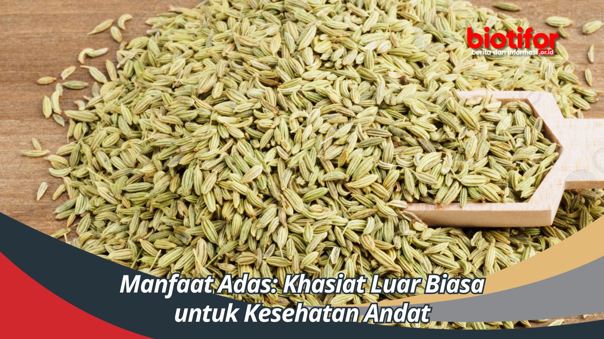 Manfaat Adas: Khasiat Luar Biasa untuk Kesehatan Anda