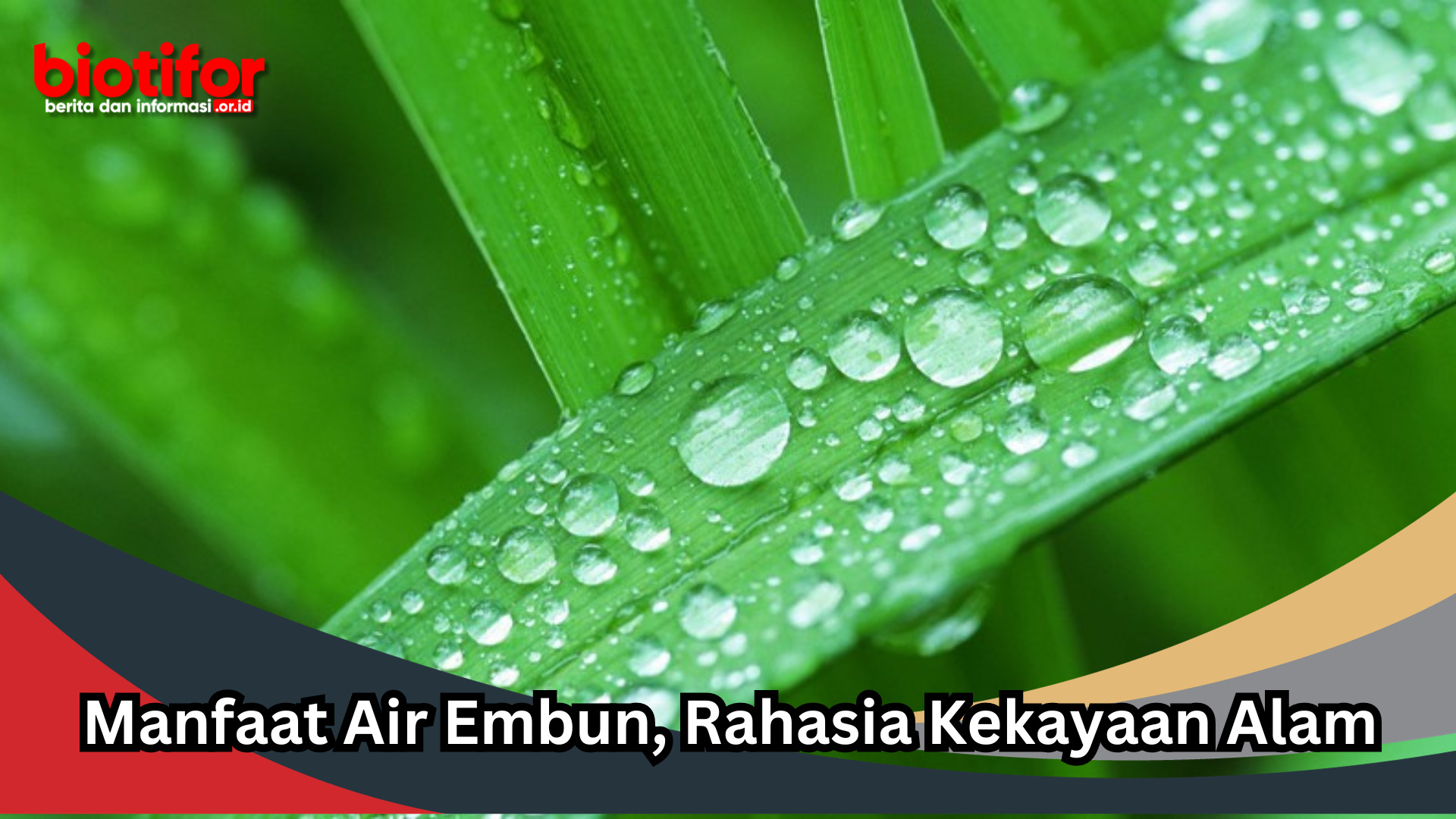 Manfaat Air Embun, Rahasia Kekayaan Alam