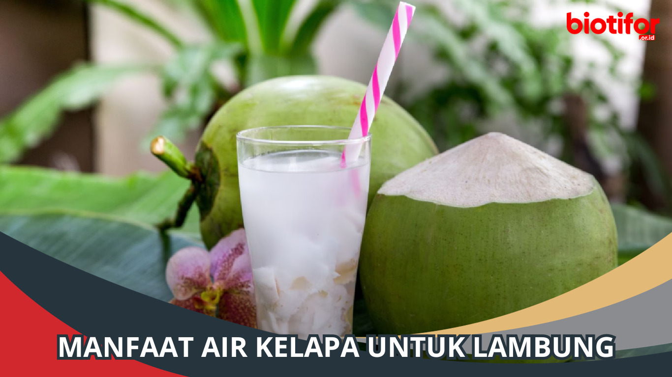 Manfaat Air Kelapa untuk Lambung: Kesehatan yang Menyegarkan
