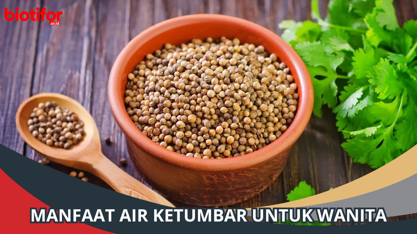 Manfaat Air Ketumbar untuk Wanita, Bisa Mengurangi Stres!