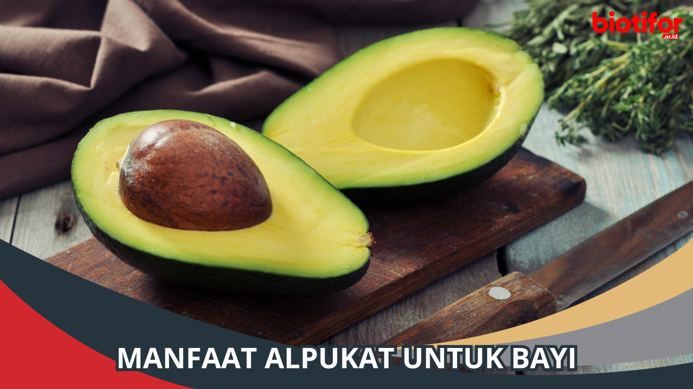 Manfaat Alpukat untuk Bayi: Pilihan Nutrisi yang Lezat dan Sehat