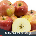 Manfaat Apel Fuji