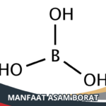 Manfaat Asam Borat