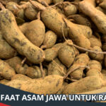 Manfaat Asam Jawa untuk Rahim