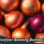 Manfaat Bawang Bombai