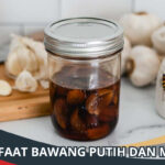 Manfaat Bawang Putih dan Madu